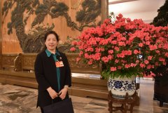 全国政协委员姜妍：加大